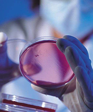 高效液相色譜儀在高分子材料分析中的應(yīng)用