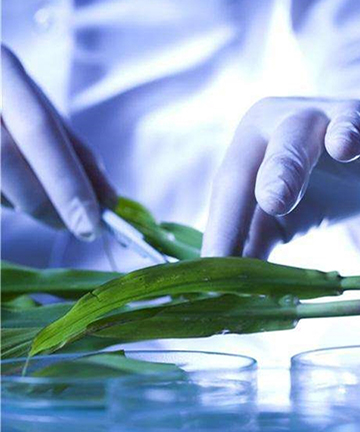 制備型高效液相色譜儀在天然產(chǎn)物分離中的應(yīng)用