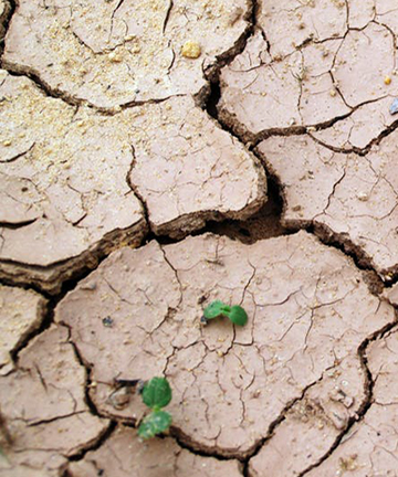 原子熒光光譜儀在土壤重金屬檢測中的應用