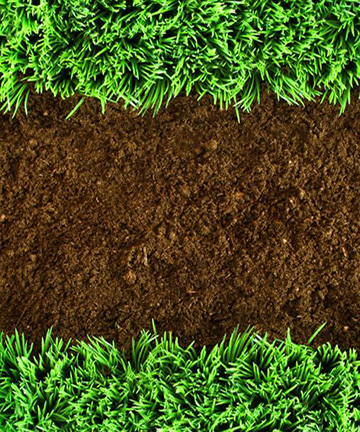 液相色譜儀在土壤環境分析中的應用