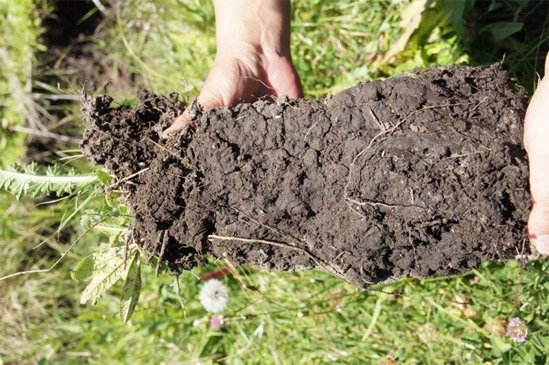 流動(dòng)分析儀