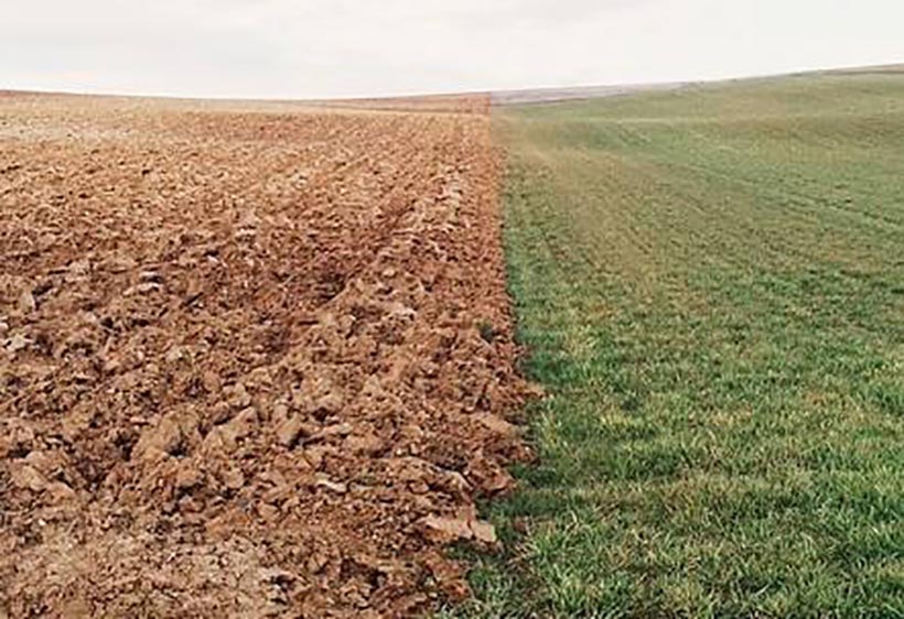 土壤檢測儀器未來可期