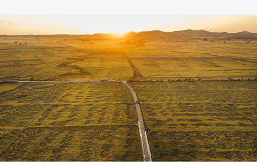 土壤檢測儀器未來可期