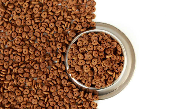 原子熒光光譜儀檢測飼料質(zhì)量安全