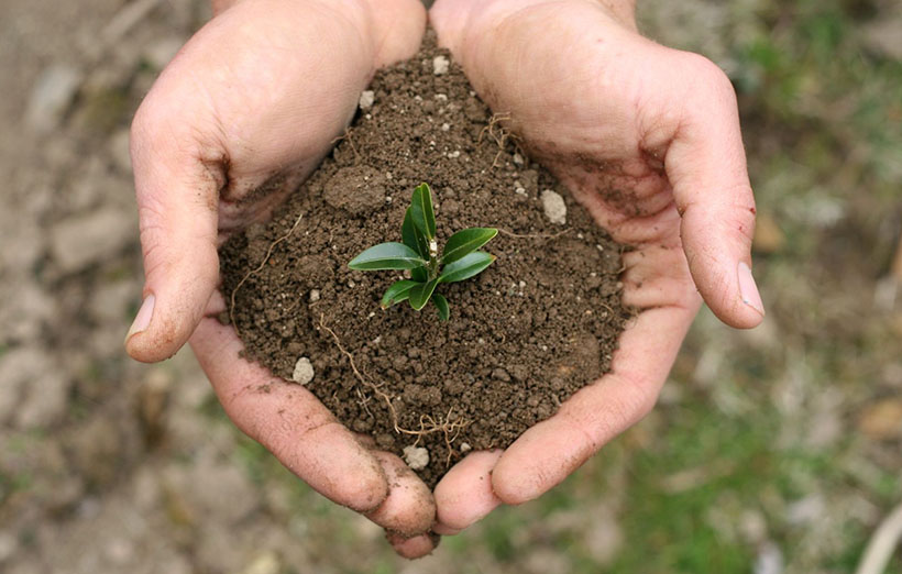 看原子熒光光譜儀如何測定土壤污染
