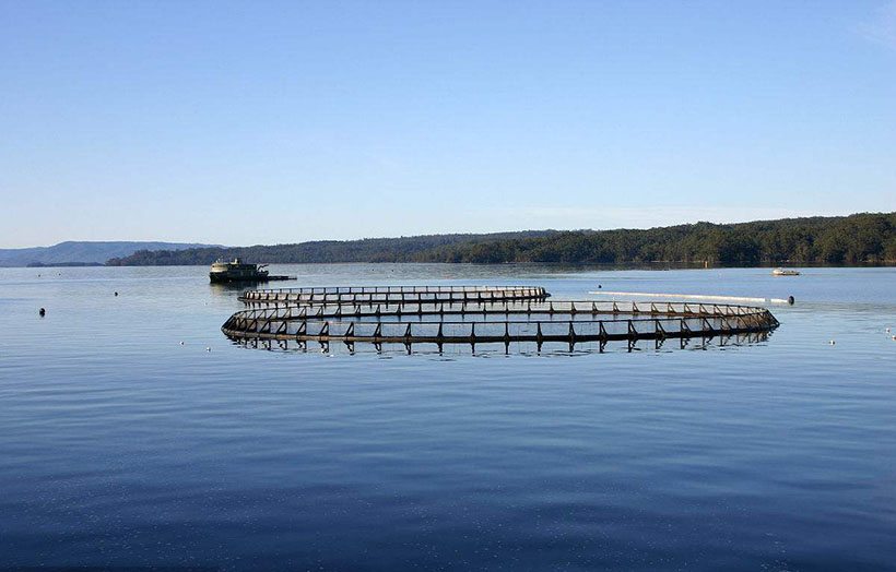 離子色譜儀助力科學水產養殖