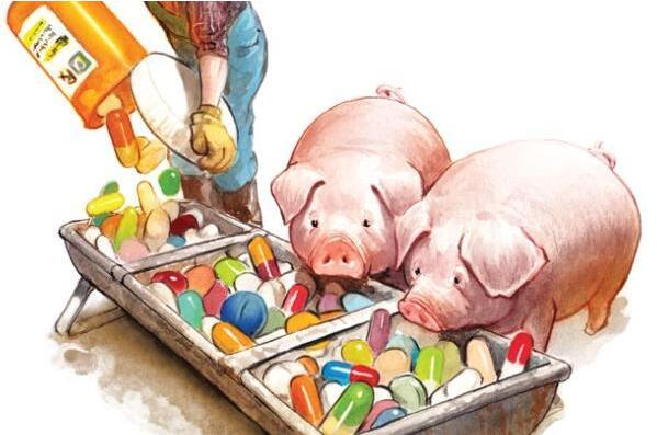 央視曝光有的養殖戶偷偷給動物喂食各種不該喂食的藥物，直接關系到我們人類的健康。