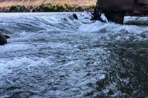 流動注射分析概述及應用領域