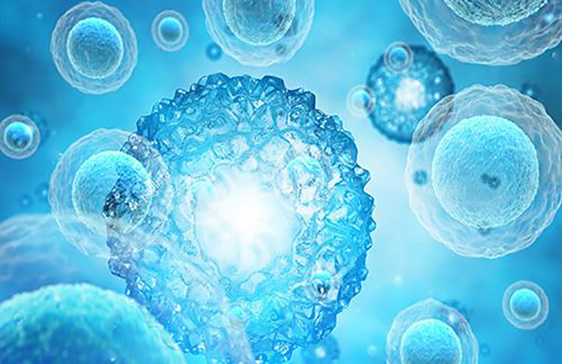 能為你節省50%時間的快速組織細胞破碎儀