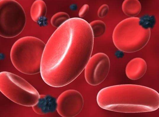 血藥濃度監測 血藥濃度監測