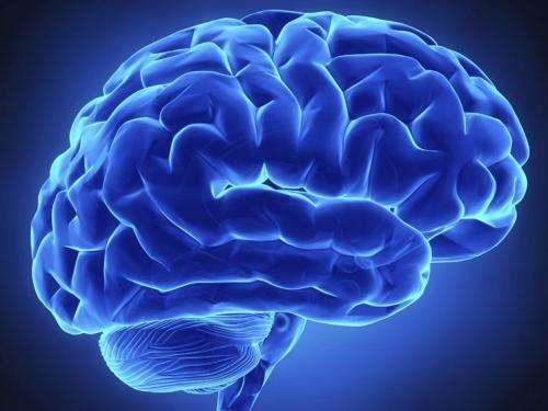 治療癲癇病檢測血藥濃度 治療癲癇病檢測血藥濃度